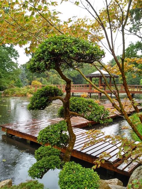 японський сад вроцлав|Японский сад (Вроцлав), Japanese Garden, Ogród Japoński